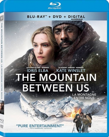 Pomiędzy nami góry / The Mountain Between Us (2017)  MULTi.1080p.REMUX.BluRay.AVC.DTS-HD.MA.5.1-Izyk