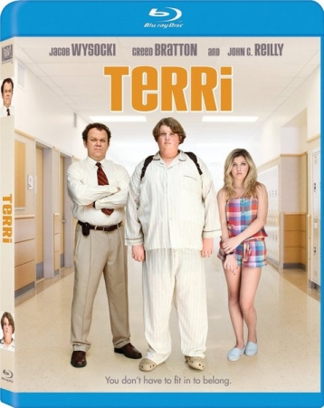Terri (2011) MULTI.BluRay.720p.x264-LTN