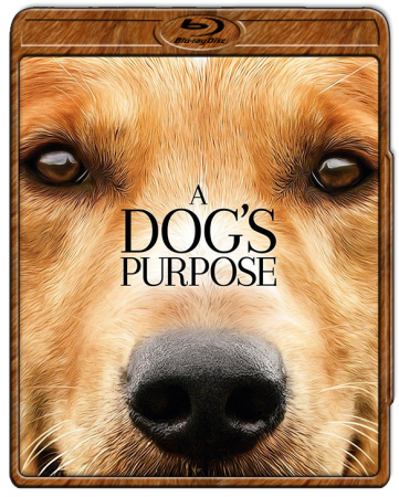 Był sobie pies / A Dog's Purpose (2017) MULTi.1080p.BluRay.x264.DTS.AC3-DENDA