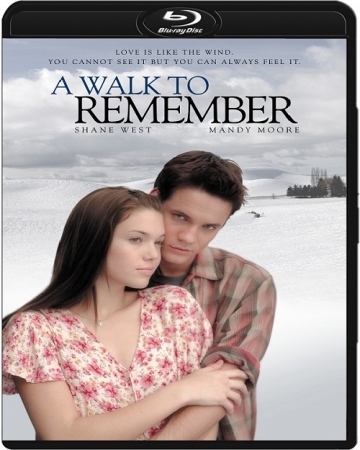 Szkoła uczuć / A Walk to Remember (2002) MULTi.1080p.BluRay.x264.DTS.AC3-DENDA