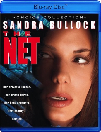 System / The Net (1995) MULTI.BluRay.1080p.AVC.REMUX-LTN