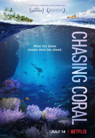 Ścigając Koralowce / Chasing Coral (2017) MULTi.2160p.NF.WEBRip.DD5.1.x264-MR | Lektor i Napisy PL