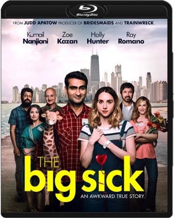 I tak cię kocham / The Big Sick (2017) MULTi.1080p.BluRay.x264.DTS.AC3-DENDA