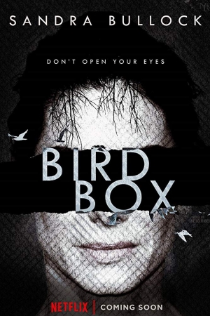 Nie otwieraj oczu / Bird Box (2018) MULTi.2160p.WEBRip.X265-Izyk | LEKTOR i NAPISY PL