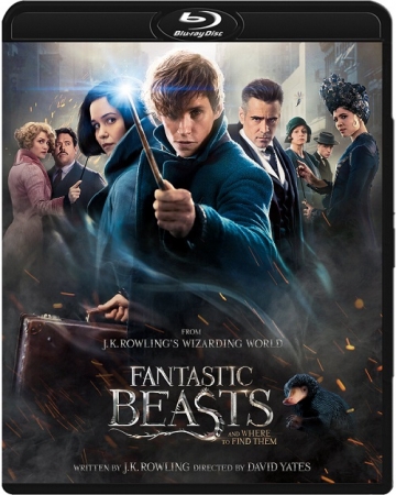 Fantastyczne zwierzęta i jak je znaleźć / Fantastic Beasts and Where to Find Them (2016) V2.MULTi.720p.BluRay.x264.DTS.AC3-DENDA | LEKTOR, DUBBING i NAPISY PL