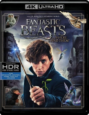 Fantastyczne zwierzęta i jak je znaleźć / Fantastic Beasts and Where To Find Them (2016) MULTi.2160p.REMUX.UHD.HDR.Blu-ray.TrueHD.ATMOS.7.1.HEVC-EMiS / LEKTOR, DUBBiNG i NAPiSY PL