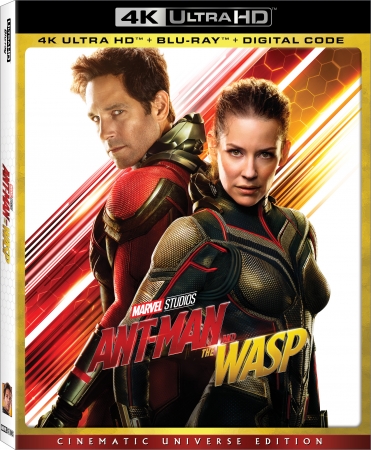 Ant-Man i Osa / Ant-Man and the Wasp (2018) MULTi.2160p.UHD.HDR.BluRay.REMUX.HEVC.TrueHD.Atmos.7.1.V2-B89 | POLSKI LEKTOR, DUBBING i NAPISY