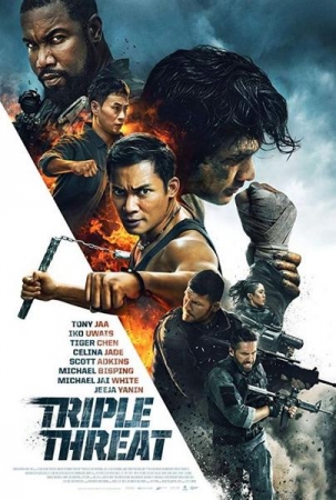 Potrójne zagrożenie / Triple Threat (2019) PL.720p.BluRay.x264-KiT