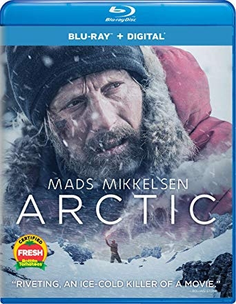 Arktyka / Arctic (2018) MULTi.1080p.BluRay.x264-KLiO / Lektor i Napisy PL