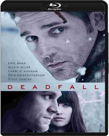 Deadfall (2012) MULTi.720p.BluRay.x264.DTS.AC3-DENDA