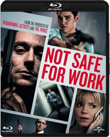 Ryzyko zawodowe / Not Safe for Work (2014) MULTi.1080p.BluRay.x264.DTS.AC3-DENDA