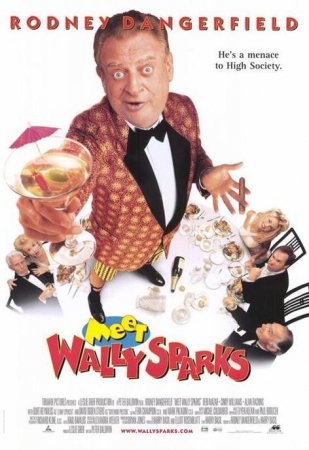Oszołom Show / Meet Wally Sparks (1997) MULTI.WEB-DL.1080p.H.264-LTN