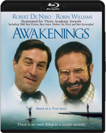 Przebudzenia / Awakenings (1990) MULTi.720p.BluRay.x264.DTS.AC3-DENDA