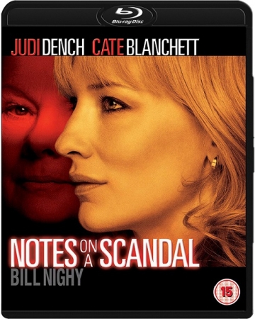 Notatki o skandalu / Notes on a Scandal (2006) MULTi.1080p.BluRay.x264.DTS.AC3-DENDA