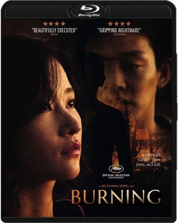 Płomienie / Burning / Beoning (2018) MULTi.1080p.BluRay.x264.DTS.AC3-DENDA