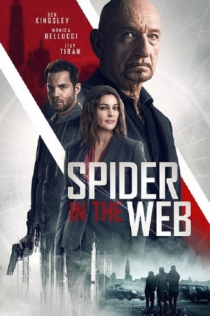 Pająk w sieci / Spider in the Web (2019) PL.1080p.WEB-DL.x264.AC3-KiT / Lektor PL