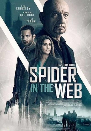 Pająk w sieci / Spider in the Web (2019) MULTi.1080p.BluRay.REMUX.AVC.DTS-HD.MA.5.1-KLiO