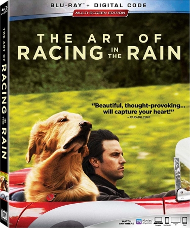 Sztuka ścigania się w deszczu / The Art of Racing in the Rain (2019) MULTi.1080p.BluRay.DTS.x264-PSiG / Polski Lektor i Napisy PL
