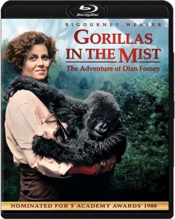 Goryle we mgle / Gorillas in the Mist The Story of Dian Fossey (1988) MULTi.1080p.BluRay.x264.DTS.AC3-DENDA / Lektor i Napisy PL
