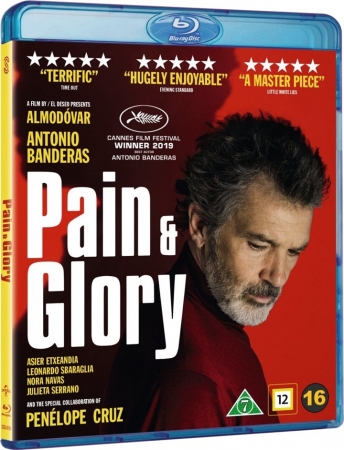 Ból i blask / Dolor y Gloria / Pain and Glory (2019) MULTi.1080p.BluRay.DTS.x264-PSiG / Polski Lektor i Napisy PL