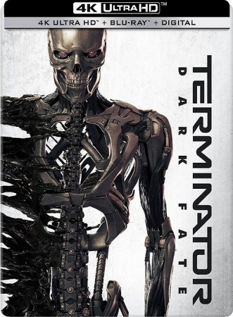 Terminator: Mroczne przeznaczenie / Terminator: Dark Fate (2019) MULTi.2160p.UHD.BluRay.REMUX.HEVC.TrueHD.Atmos.7.1-OzW  /  Dubbing PL i Napisy PL