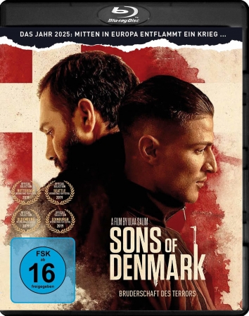 Synowie Danii / Sons of Denmark / Danmarks sønner (2019) PL.720p.BluRay.x264.AC3-KiT / Lektor PL
