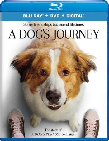 Był sobie pies 2 / A Dog's Journey (2019) PLDUB.720p.BluRay.x264.AC3-KiT / Dubbing PL