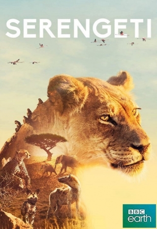 Serengeti (2019) [Sezon 1] PL.E01-E04.1080p.HDTV.X264-J / Lektor PL