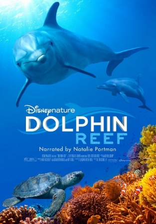 Dolphin Reef (2020) MULTi.2160p.HDR.WEB.H265-Izyk | Lektor i Napisy PL