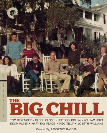 Wielki chłód / The Big Chill (1983) CRITERION.MULTI.BluRay.1080p.x264-LTN