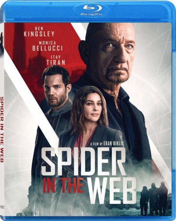 Pająk w sieci / Spider in the Web (2019) 1080p.EUR.Blu-Ray.AVC.DTS-HD.MA.5.1-GLiMMER / Lektor i Napisy PL