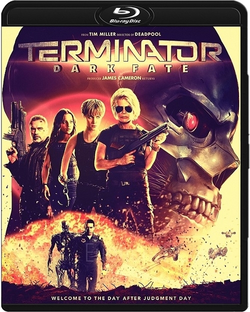 Terminator: Mroczne przeznaczenie / Terminator: Dark Fate (2019) MULTi.1080p.BluRay.REMUX.AVC.Atmos.TrueHD7.1-R22 / Dubbing, Napisy i Lektor PL