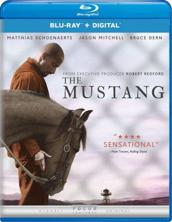 Mustang / The Mustang (2019) MULTI.720p.BluRay.x264-KLiO / Lektor i Napisy PL