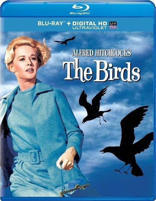 Ptaki / The Birds (1963) 1080p.CEE.Blu-ray.AVC.DTS-HD.MA.2.0-HDCLUB | Lektor i Napisy PL