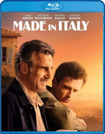 Włoskie wakacje / Made in Italy (2020) MULTI.1080p.BluRay.x264-KLiO / Lektor i Napisy PL
