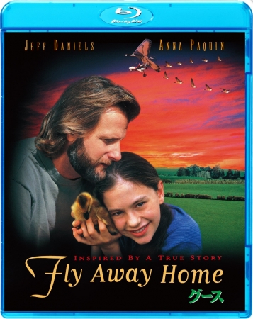 Droga do domu/ Fly Away Home (1996) 1080p Blu-ray AVC TrueHD 5.1 / LEKTOR i NAPISY PL