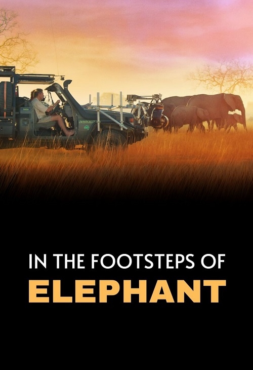 In the Footsteps of Elephant (2020) MULTI.2160p.DSNP.WEB-DL.DDP5.1.HDR.HEVC-KLiO / Lektor i Napisy PL