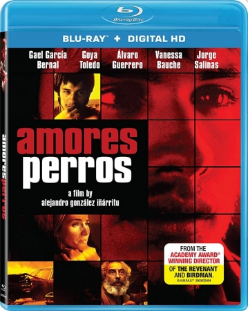 Amores perros (2000) MULTi.1080p.BluRay.REMUX.AVC.DTS-HD.MA.5.1 | Lektor i Napisy PL