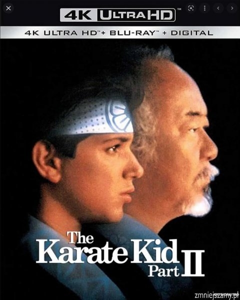 Karate Kid 2 / The Karate Kid Part II (1986) MULTi.2160p.UHD.Blu-ray.REMUX.DV.HEVC.TrueHD.7.1.Atmos | Lektor i Napisy PL