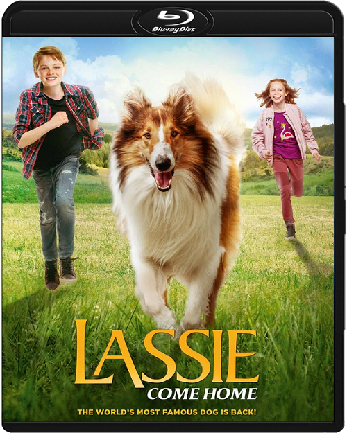 Lassie, wróć! / Lassie Come Home (2020) MULTi.1080p.BluRay.REMUX.AVC.DTS-HD.MA.5.1 | DUBBING PL