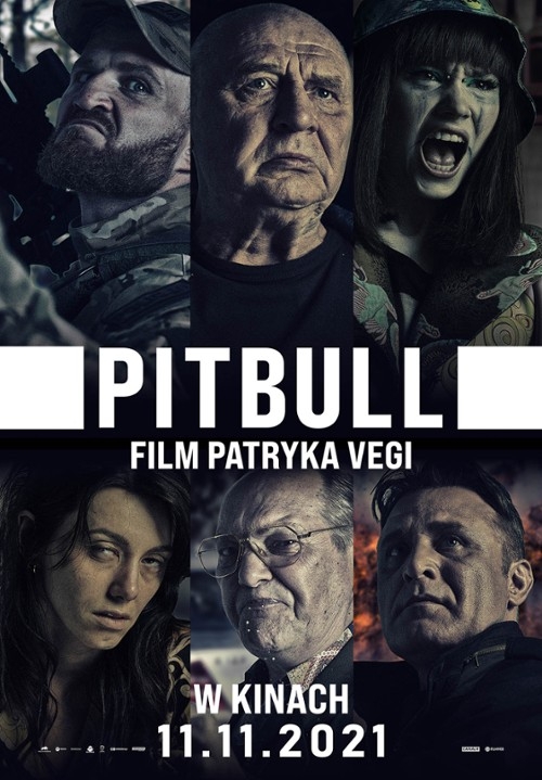 Pitbull (2021) (Sezon 1) PL.1080p.WEB-DL.H264.DD2.0-K83 / Serial Polski