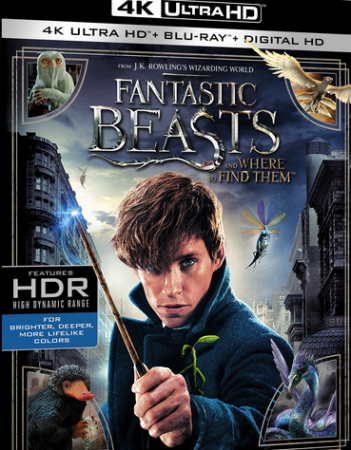 Fantastyczne zwierzęta i jak je znaleźć / Fantastic Beasts and Where to Find Them (2016) MULTi.2160p.UHD.Blu-ray.HDR.ATMOS.7.1.x265-DENDA