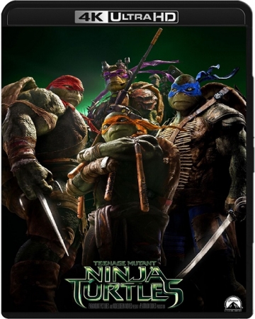 Wojownicze żółwie ninja / Teenage Mutant Ninja Turtles (2014-2016) MULTi.REMUX.2160p.UHD.Blu-ray.HDR.HEVC.ATMOS7.1-DENDA